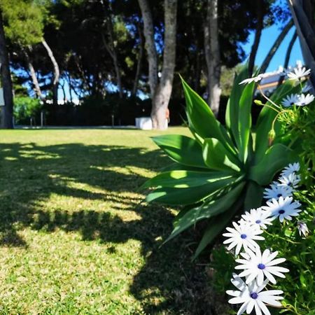 Апартаменты ¡Nuevo! Zona Tranquila Cerca De La Playa De La Carihuela Торремолинос Экстерьер фото